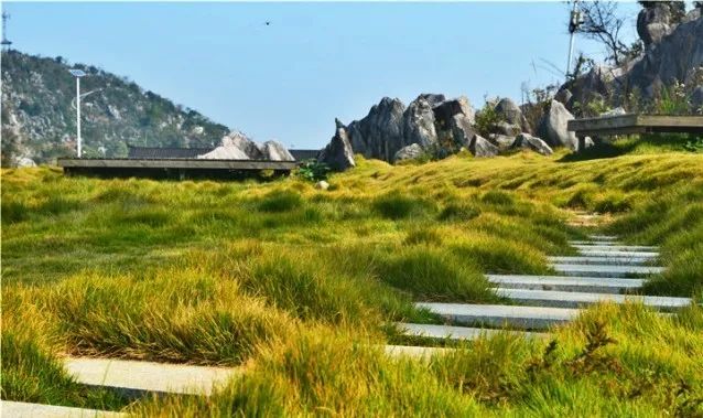金柯露营基地接待中心处设有烧烤区,边赏石林山景边烧烤,惬意!
