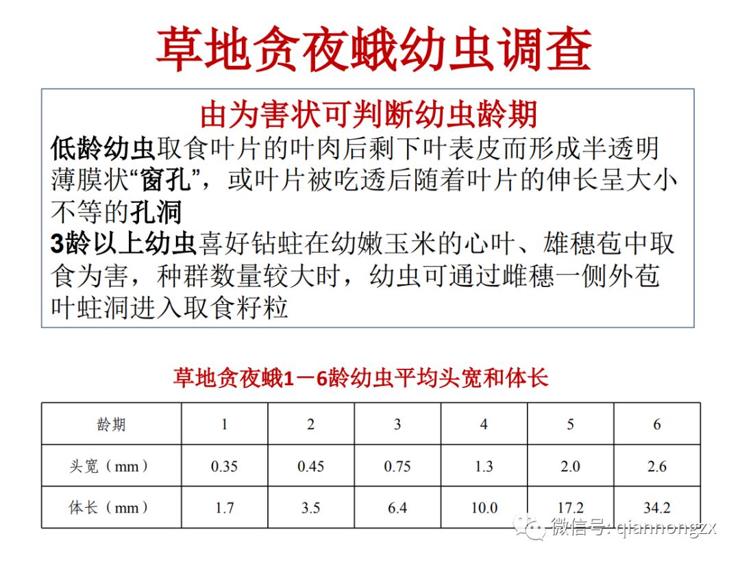 【农业小百科】草地贪夜蛾发生及防控