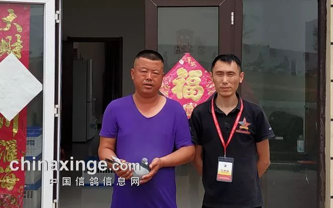 易碎贴查验脚环查验膀章四关综合第七名放飞后返回鸽舍四关综合第八名