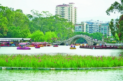 圖為遊客在福州西湖公園遊玩. 新華社記者 林善傳攝 返回搜