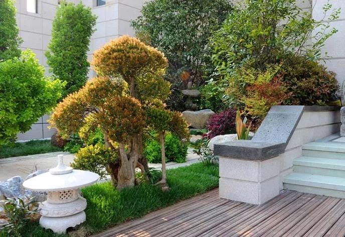 南京60平方小庭院设计