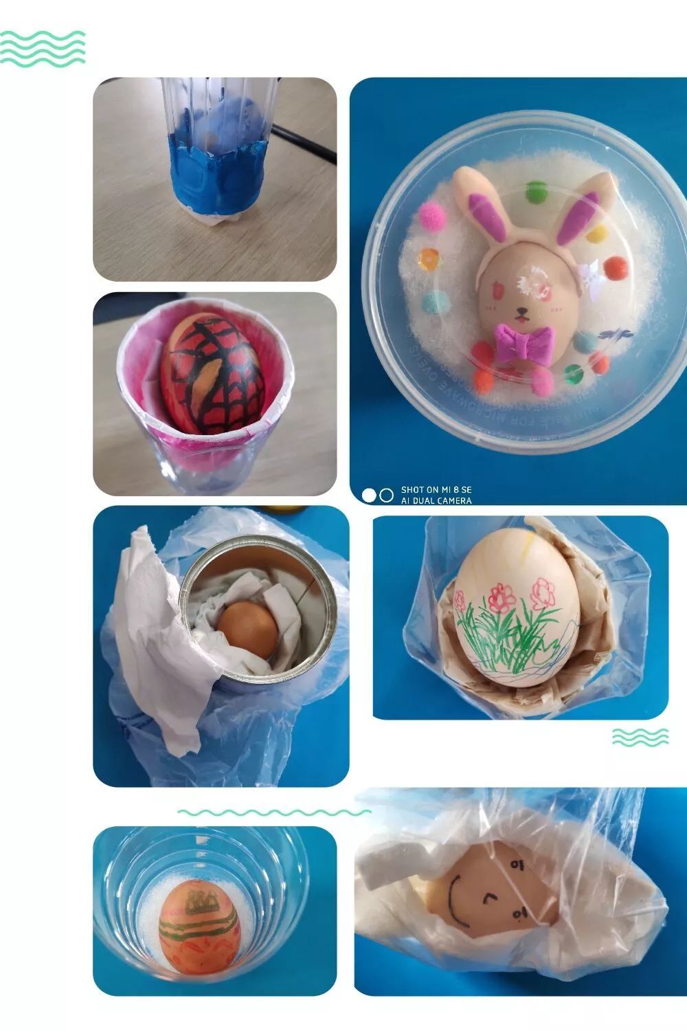 大五保护鸡蛋学会感恩