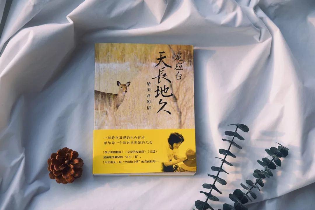 龙应台《天长地久》