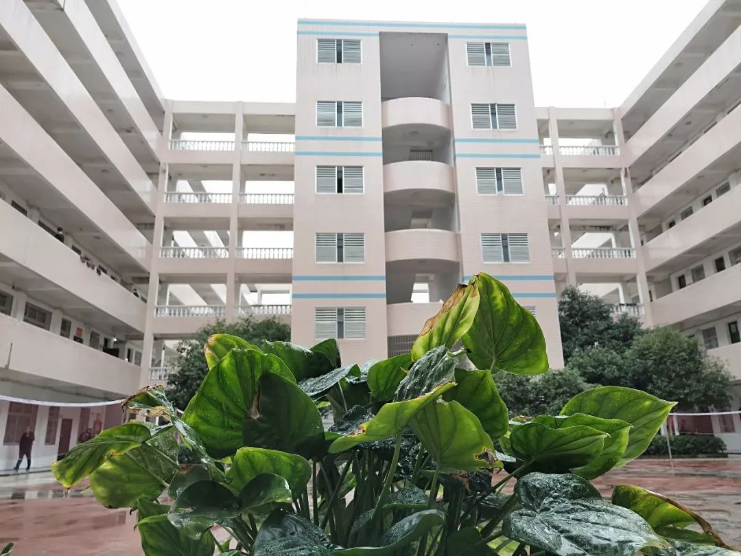 涟源市行知中学迎来新发展2019年秋季高一招生公告