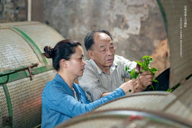 原创北苑老茶人吴德旺