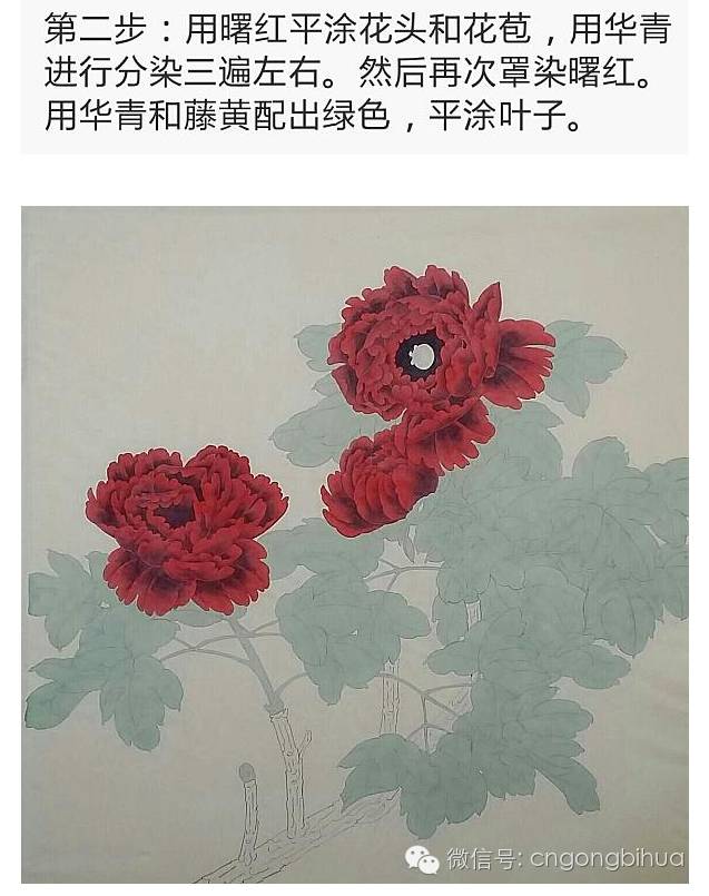 红牡丹画法解析(不要错过哦!