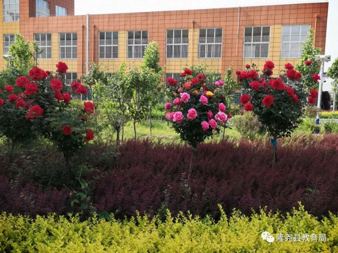 最美校园秀唐尧中学尧乡春色赛江南