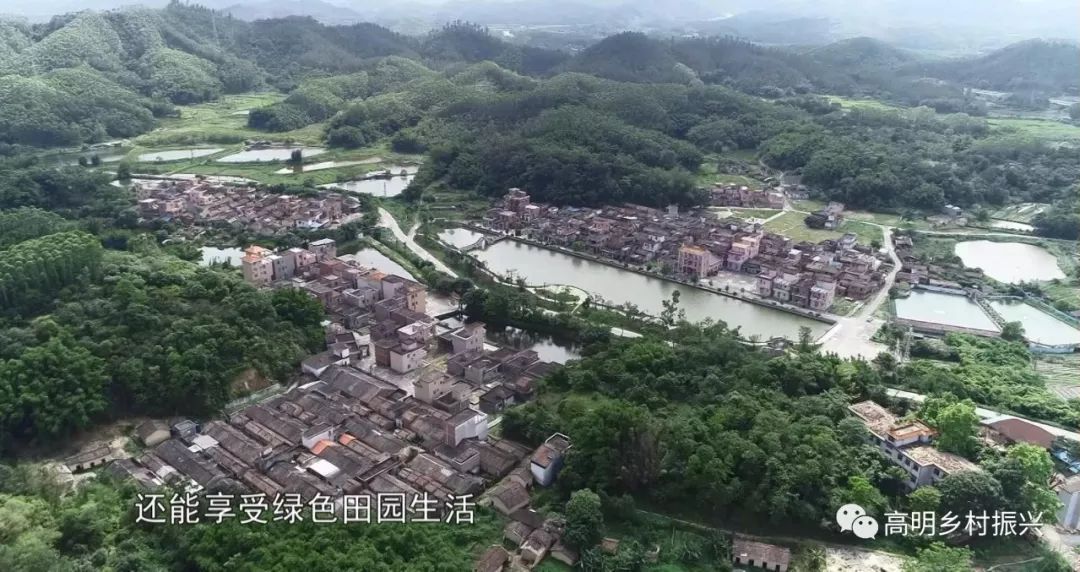 美丽文明村居走进更合镇水井村感受红色文化底蕴