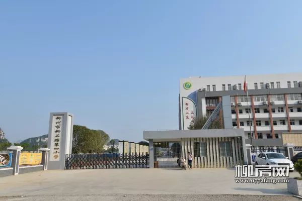 关注奏响青春乐章海雅柳江湾2019中国国际钢琴艺术节启幕