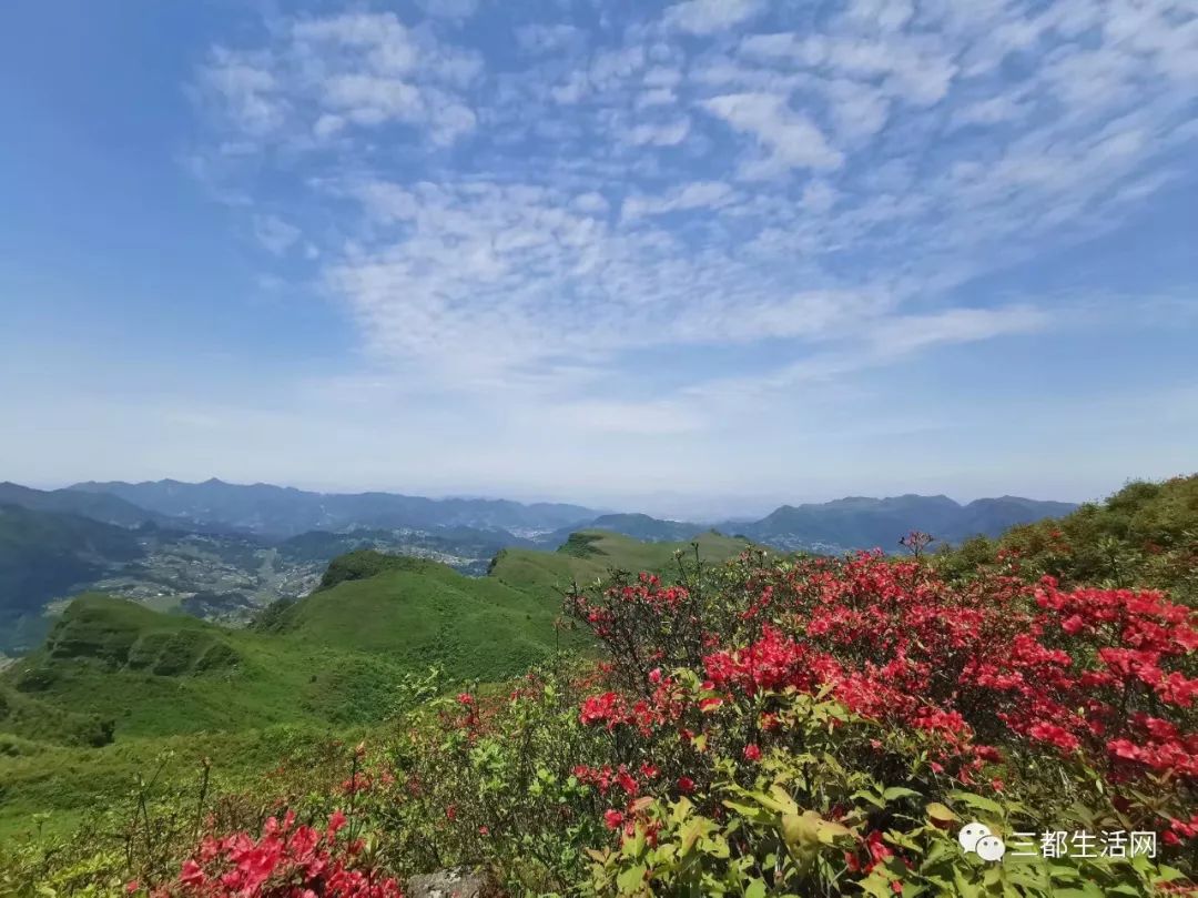 三都县老王山景区,三都老王山(第3页)_大山谷图库