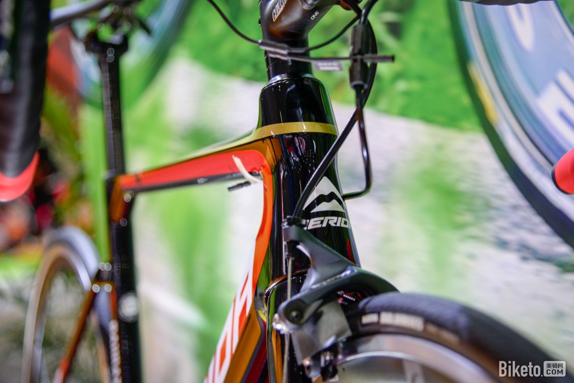 建国献礼 美利达特别版斯特拉70th