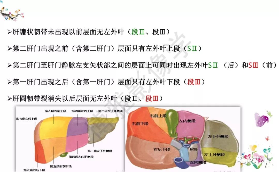 肝脏分叶分段的影像学解剖