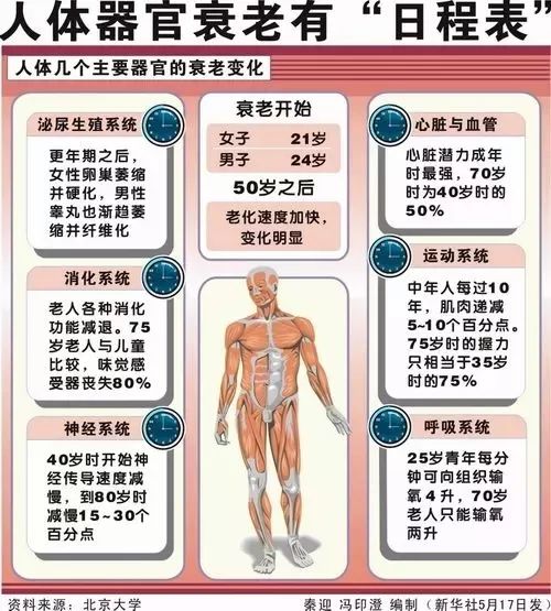 出現肌肉鬆弛,皮膚皺褶增多;身體的基礎代謝率開始減慢,