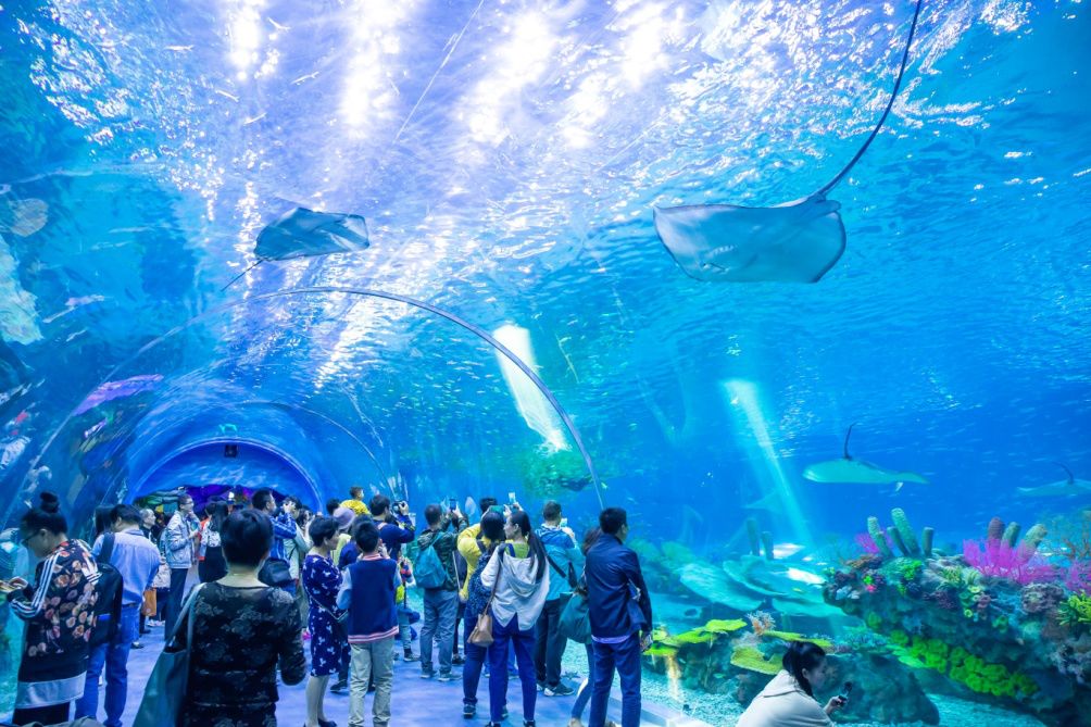 江浙沪周边,以海洋为主题的标志性主题公园.