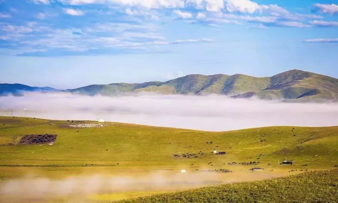 沒去過甘南,你不會知道什麼叫做熱情滿滿,洋溢燦爛!_風景