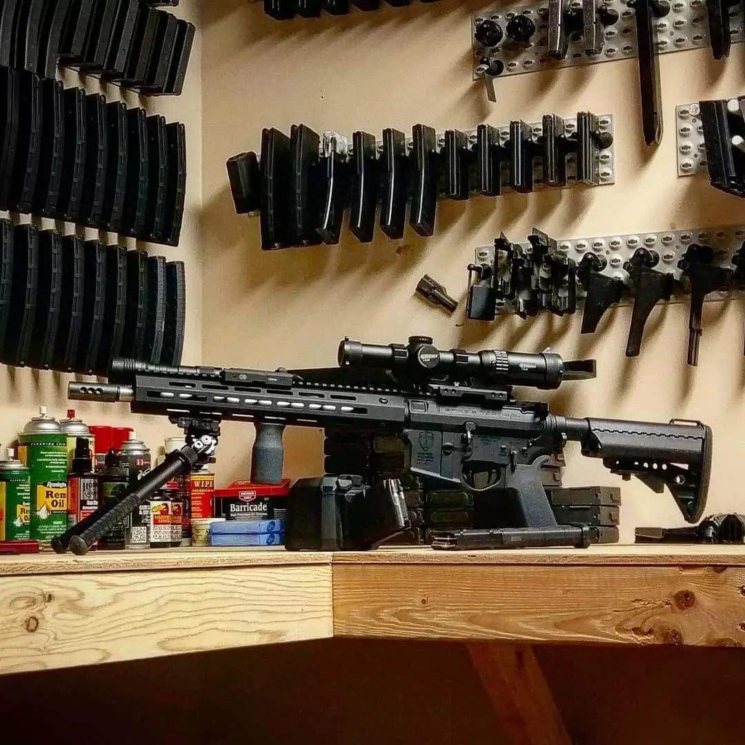 想挂哪挂哪peglock枪械陈设系统美图