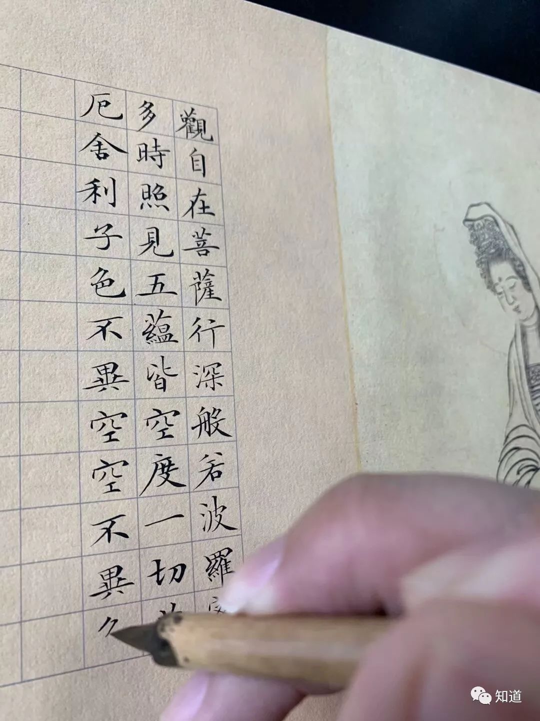 知道书画 | 夏云 小楷 《般若波罗蜜心经》