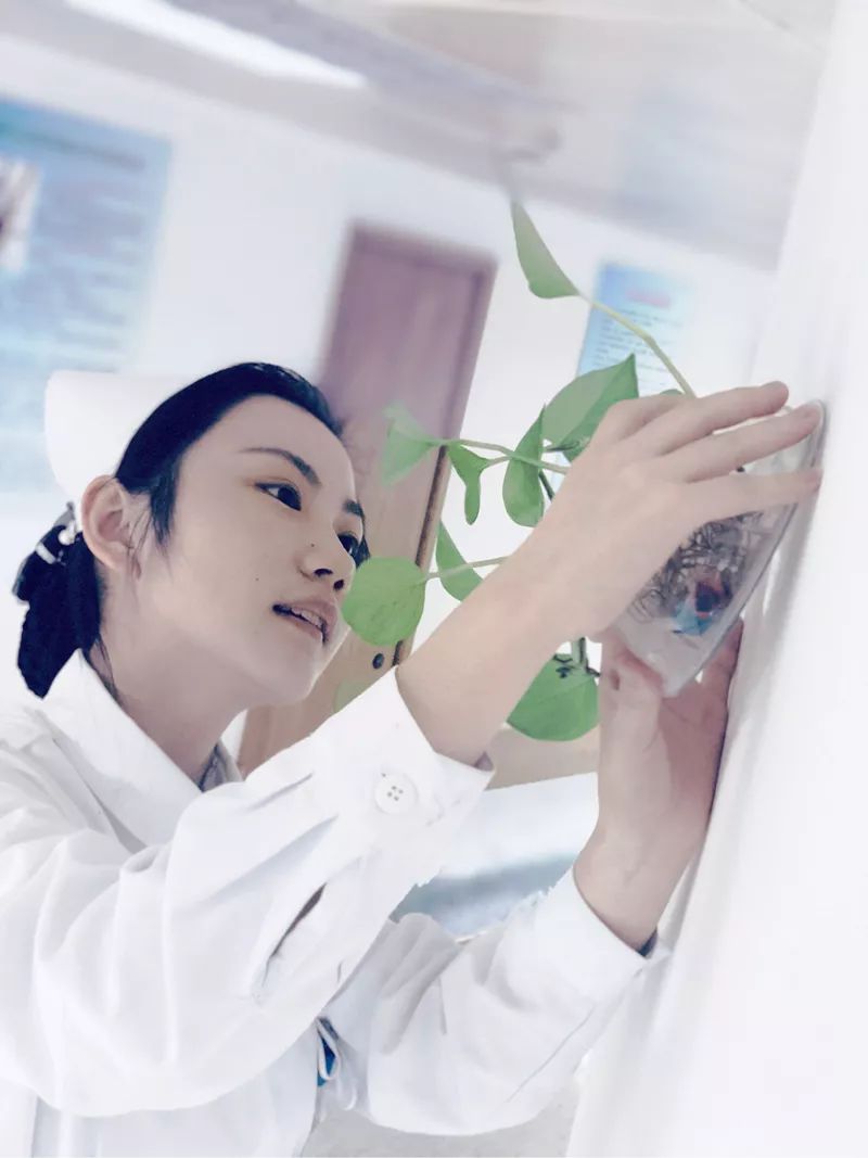 学会动态第四届天使靓影主题微摄影微视频活动获奖作品揭晓