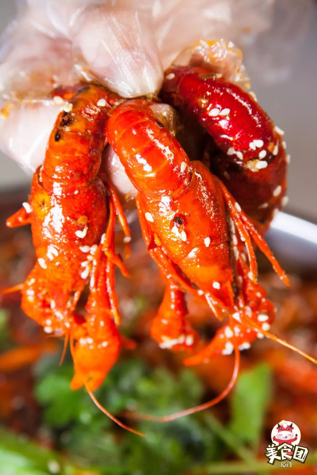 巨划算158元疯抢5斤小龙虾店家壕气再送三款人气菜品