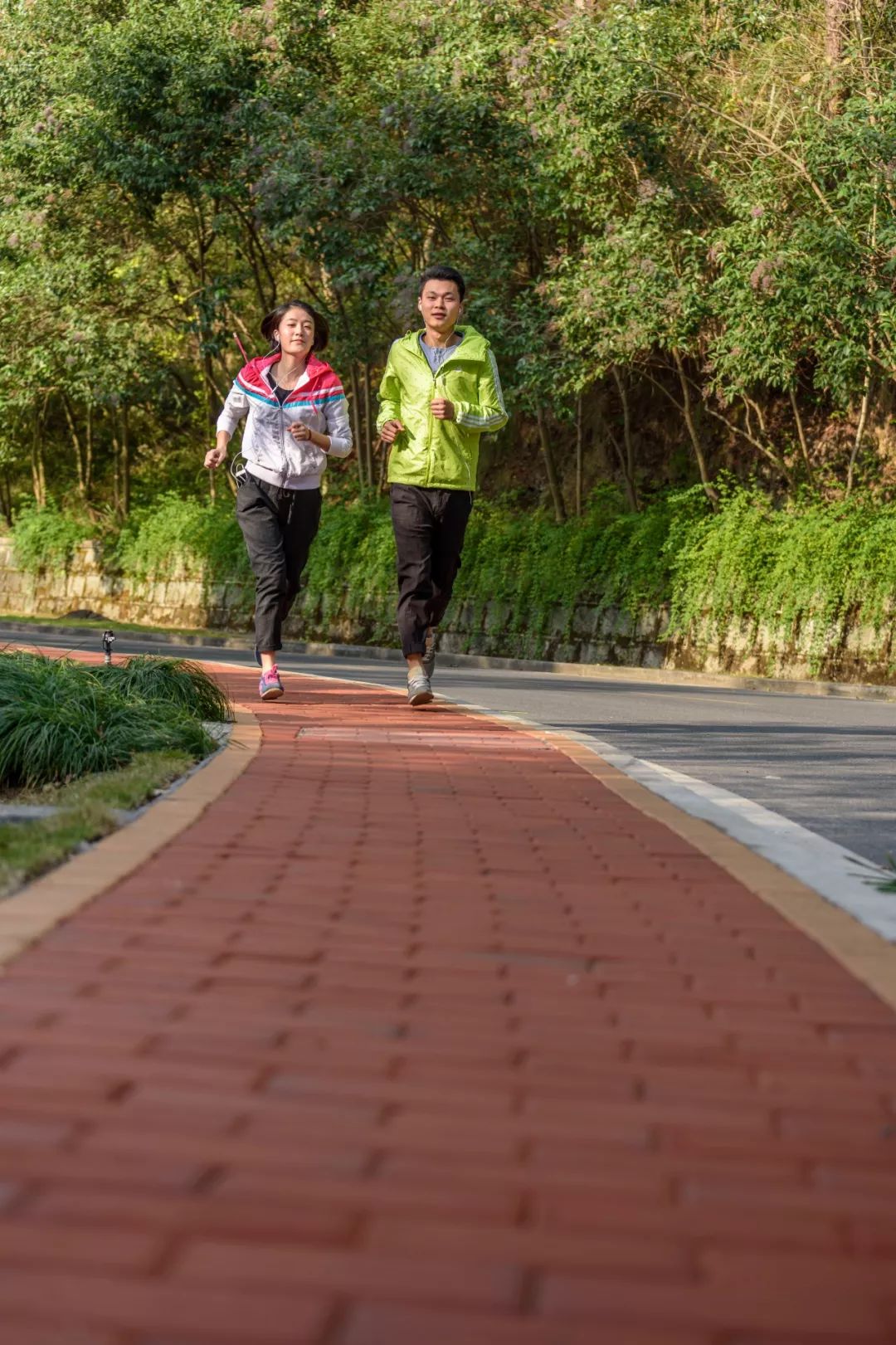 晨跑让生命运动起来享受一路宁静与清甜