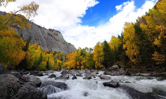 云南塔城旅游景点介绍图片