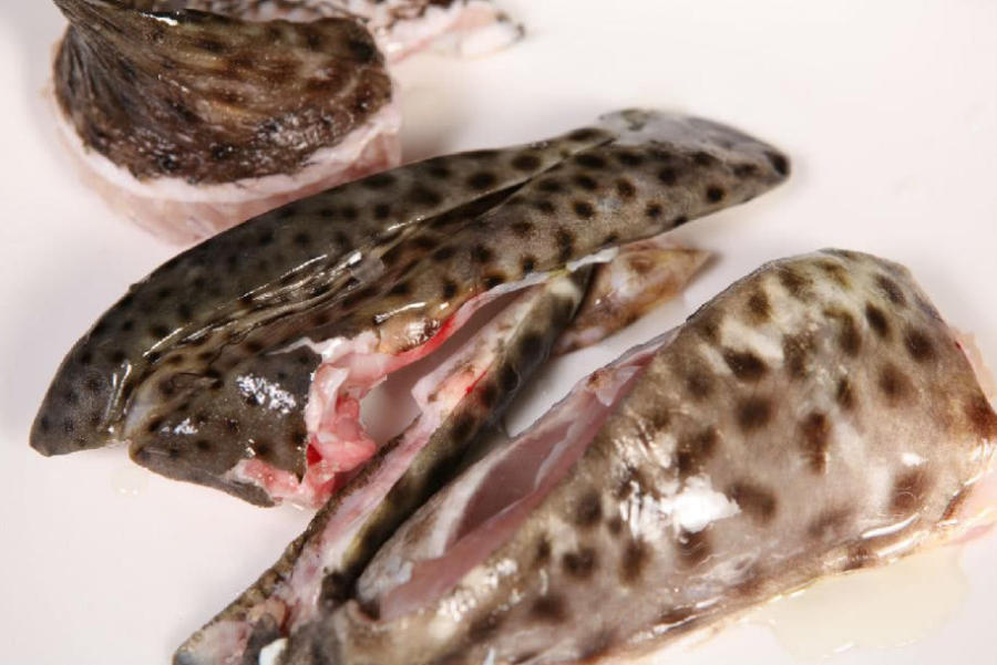 鱼脸:在鱼头上很小的一块肉,大概在鱼眼靠后的位置,形状是月牙形的.