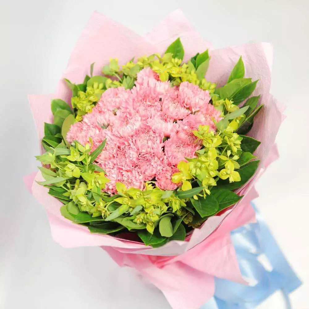 康乃馨(上图)和忘忧草(下图) 母亲节快乐!