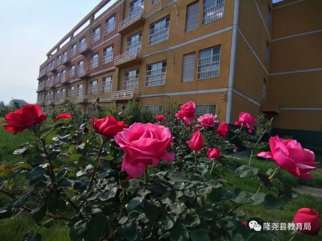 最美校园秀唐尧中学尧乡春色赛江南