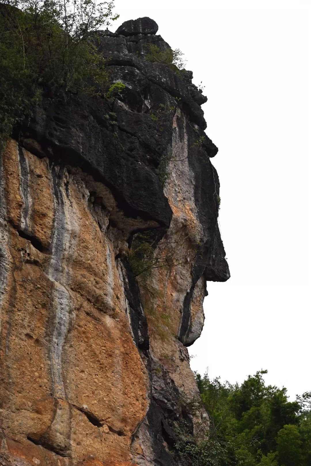 白石丹山地处云浮市云安区西圳管理区为低海拔山丘陵地区区内几大
