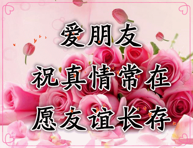 早上好一首鸿雁与你相遇一生珍惜