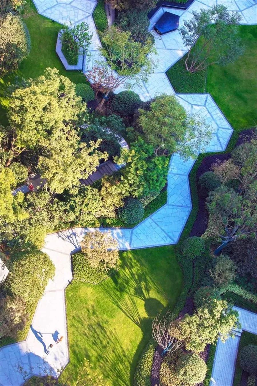 大区景观实用第一