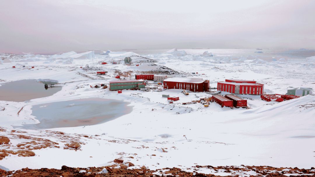 来自南极的视频通话请接听