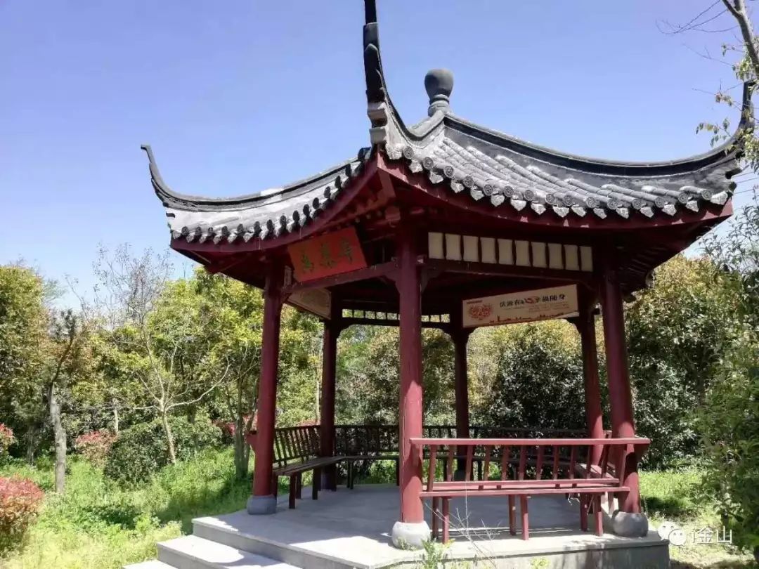金山的这个村,居然藏着高大上的.