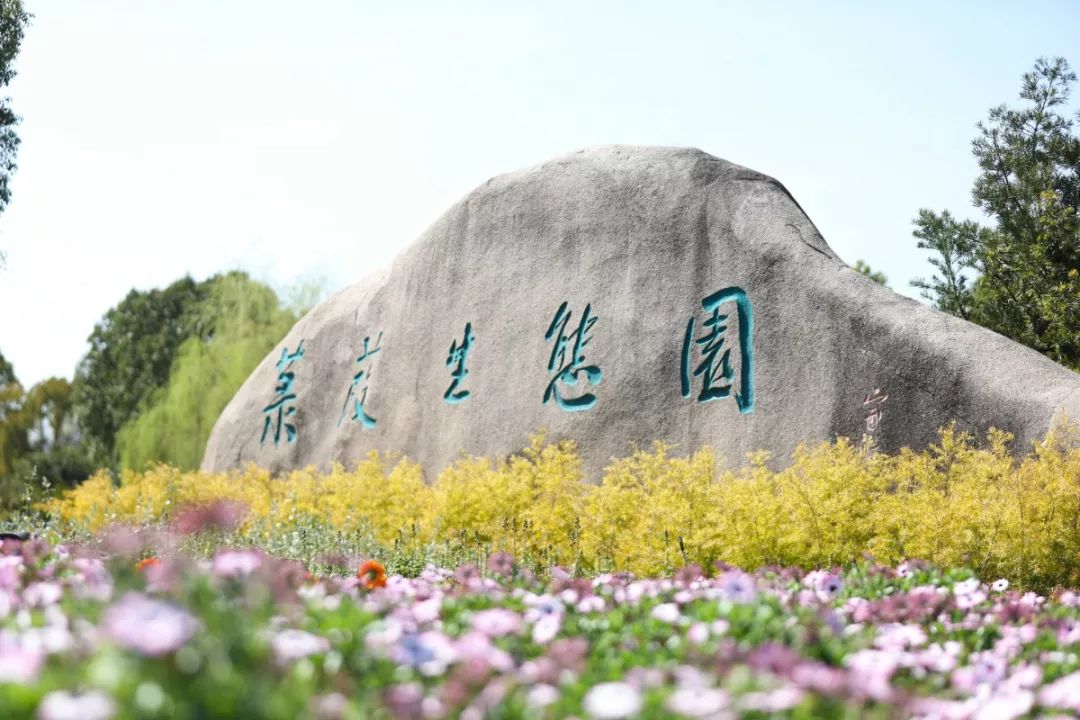 菉葭生态园大门口及重要景观节点中精品策划道路两旁的绿化色彩风貌