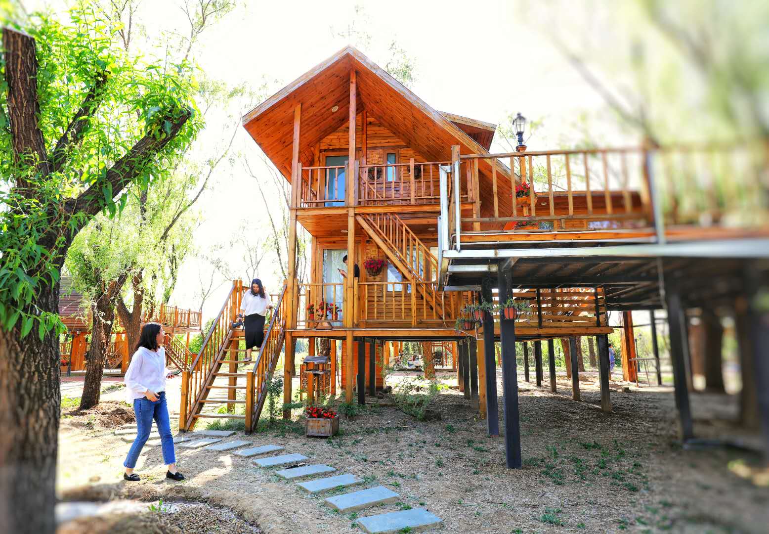 北京最近的童话树屋隐匿在闹市中的世外桃源这个周末选对地方很重要