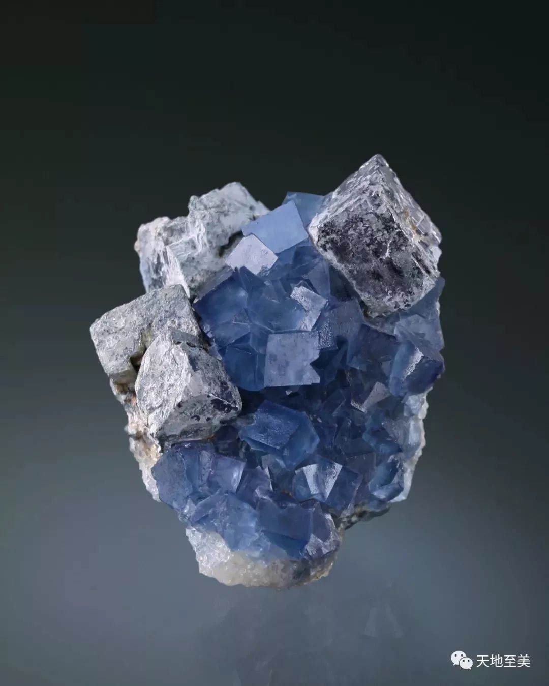 不一样的祝福,永恒不变的爱,祝所有母亲节日快乐!_萤石