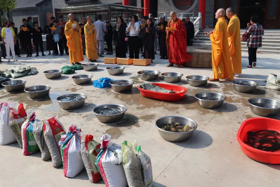 海潮寺隆重举行浴佛放生皈依法会