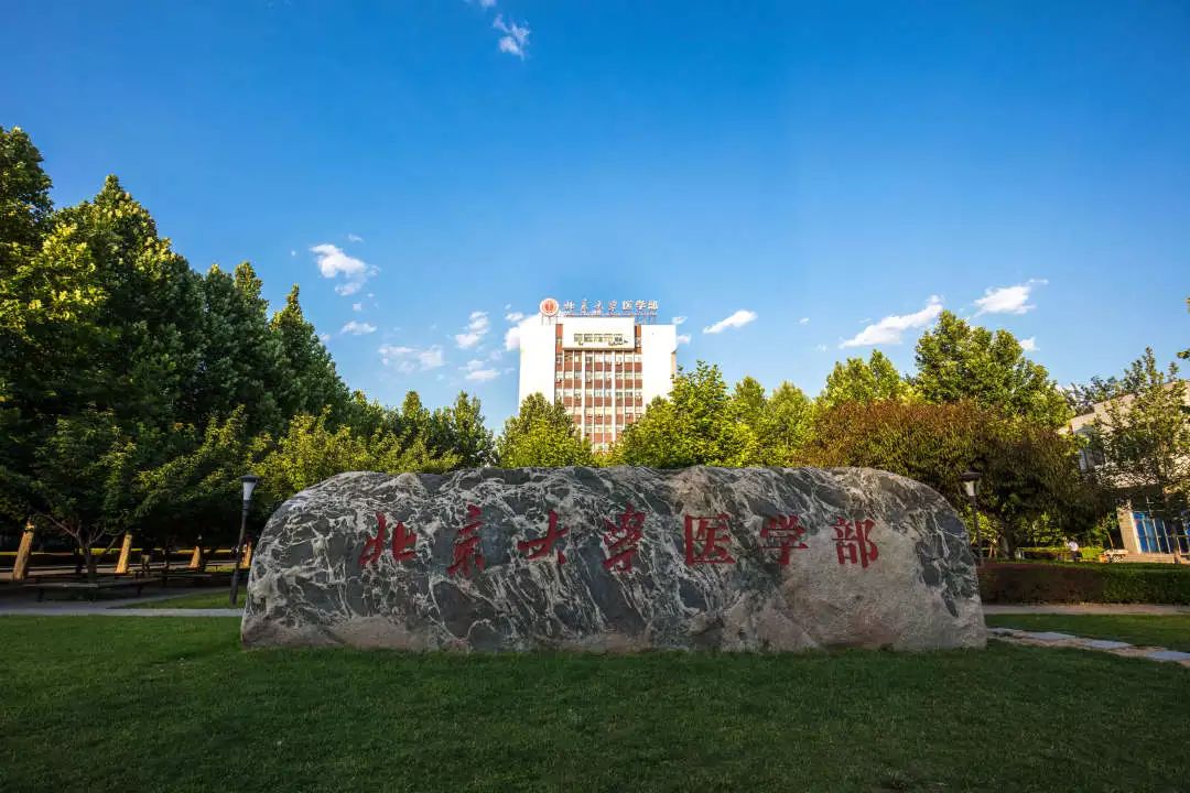 最后28天, 请务必做到这几点! 稍不留神高考就毁了