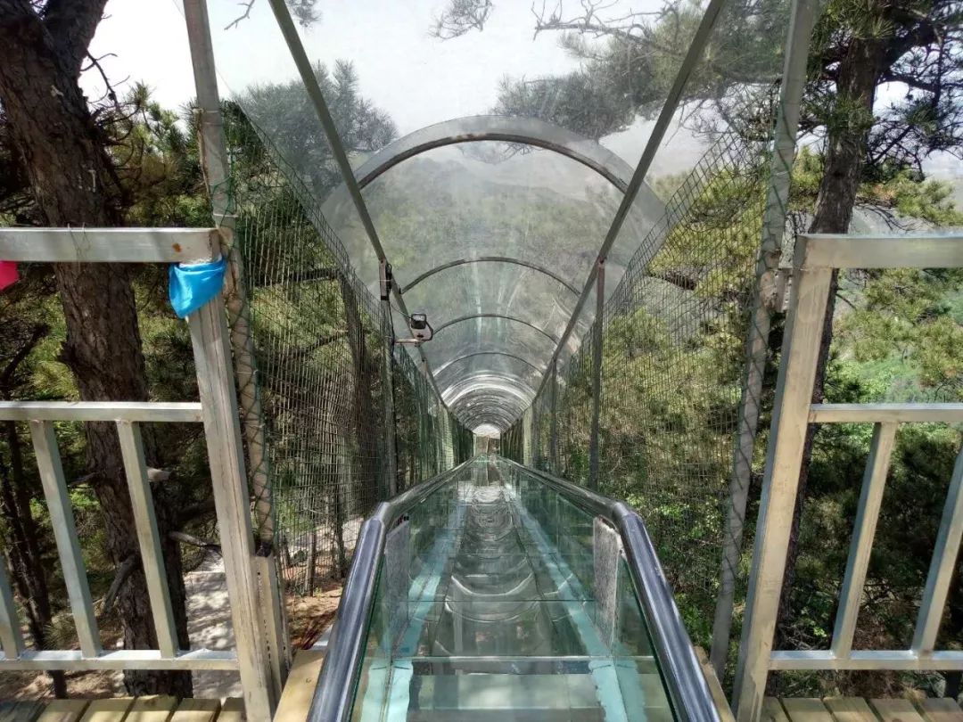 9抢景忠山门票!