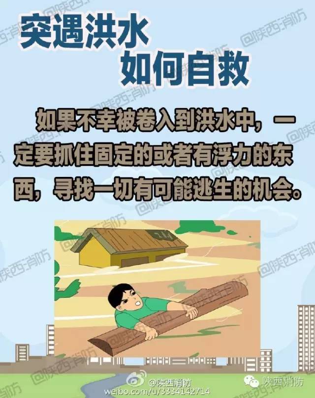 【突遇洪水如何自救?】