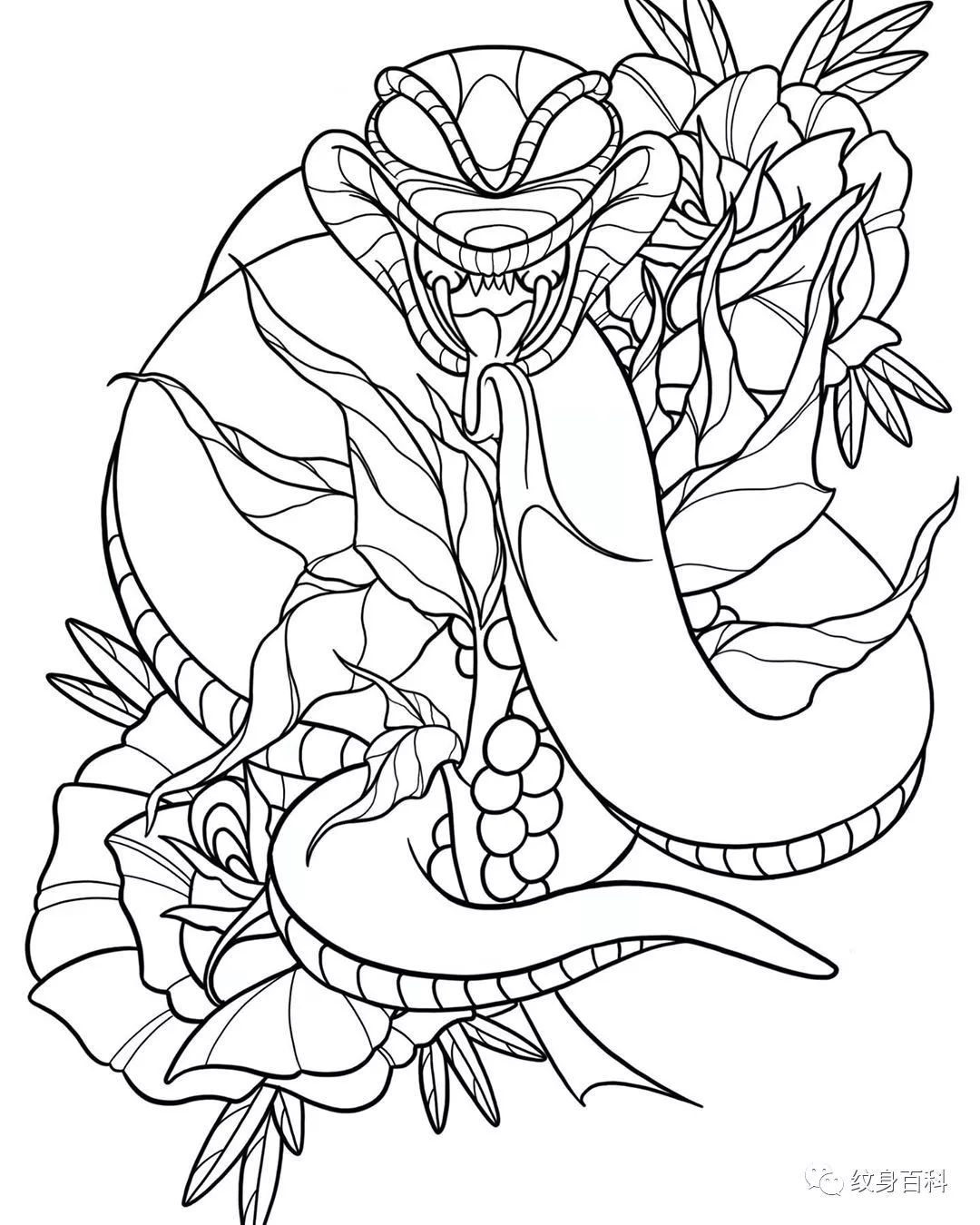 newschool纹身手稿彩稿与线稿