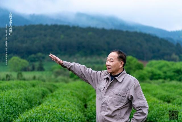 原创北苑老茶人吴德旺