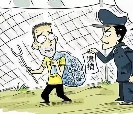 男子捕获38只黄鼠狼被判刑