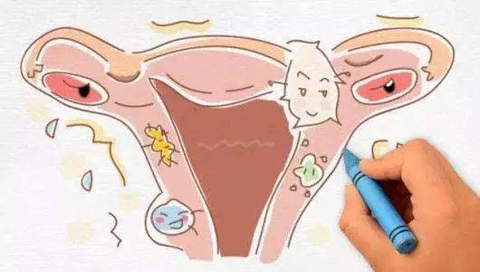 有关女性生殖系统健康的认识的简单介绍-第2张图片-鲸幼网