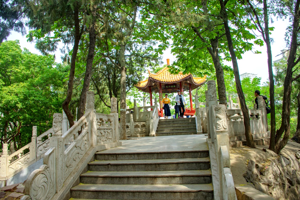 发现郑州美景丨紫荆山公园并不是山,以前没有山,建造初叫东方红