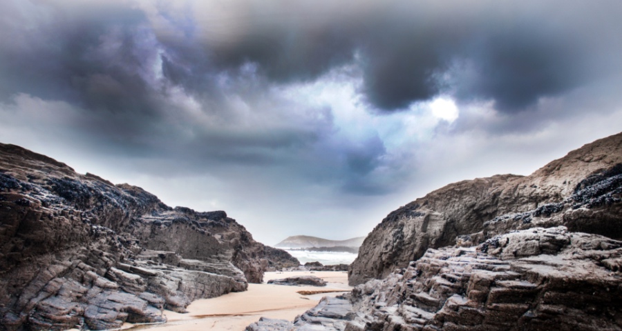 家电业转战新跑道激活老品牌,海尔新飞九阳京东乐融有斗志-家电圈官网
