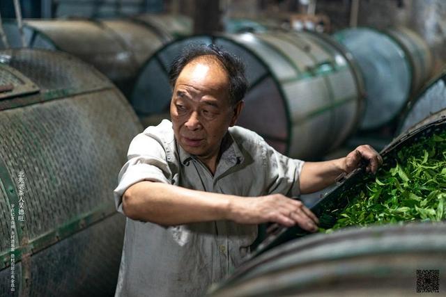 原创北苑老茶人吴德旺