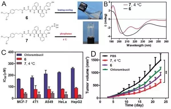 b,cd光譜顯示通過eisa在4 ℃形成的納米纖維中肽的α-螺旋構象和通過