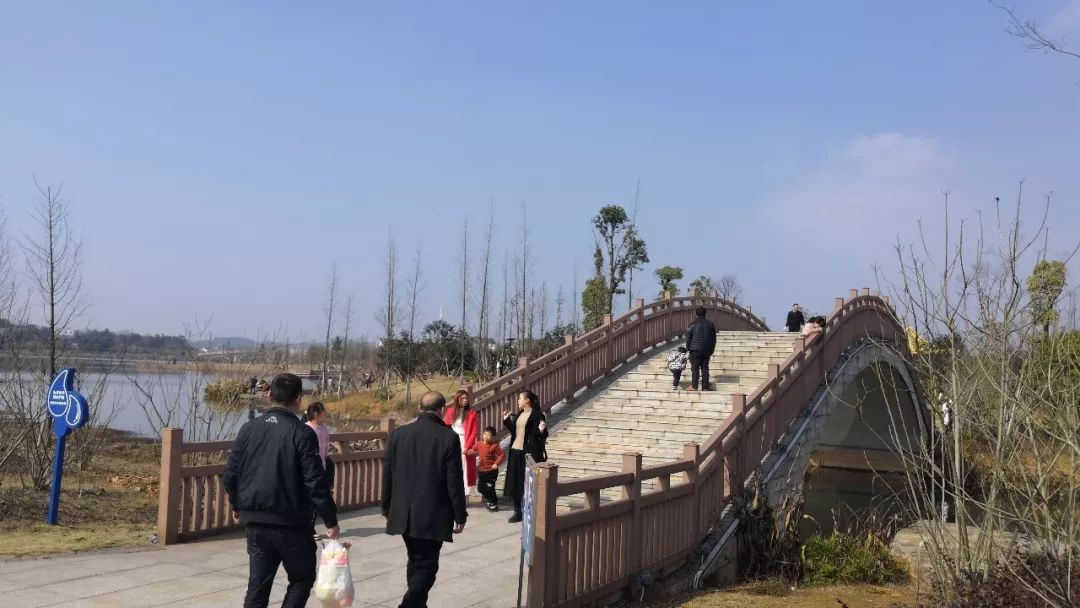 視頻不用去海南家門口即可享受熱帶沙灘多角度看萬豐湖溼地公園