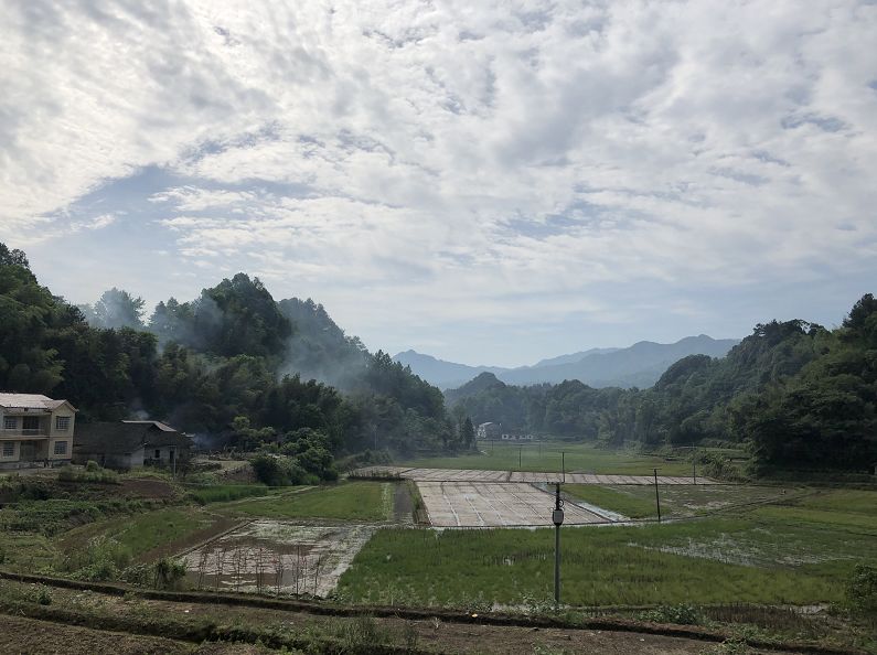 湖塘村里新客多个个和我掏心窝